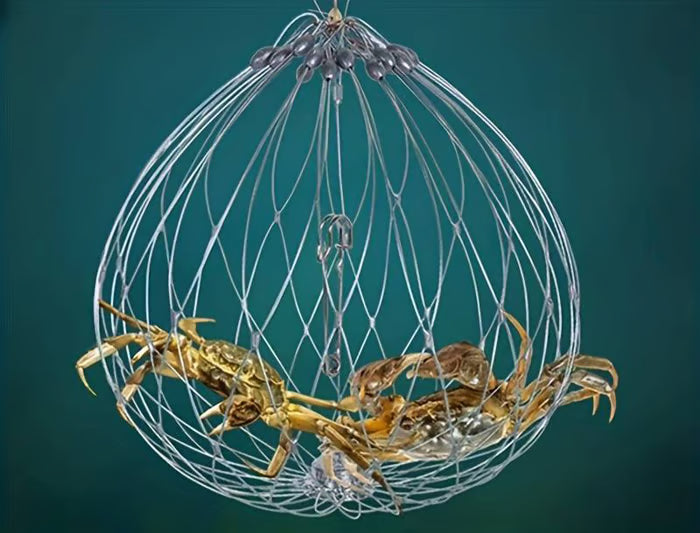 🐟Automatic Opening & Closing Fishing Net Cage