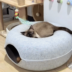 Water Play Mat for Pets - 2-in-1 Mat: Fun & Relaxation in One 🎁